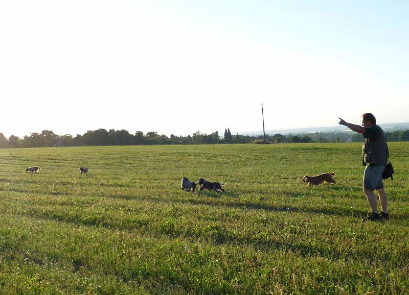 02-Odpoledni venceni.JPG